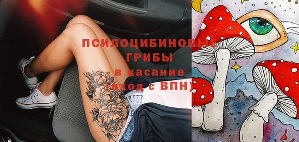 мет Бородино