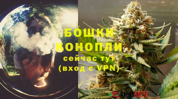 мет Бородино