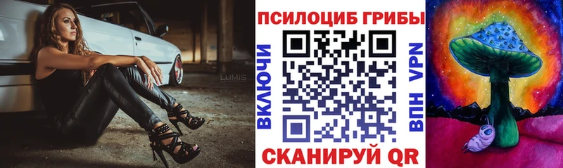 Псилоцибиновые грибы Psilocybine cubensis  Новокубанск 